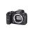 Canon EOS R6 Digital Mirrorless Camera (Body Only)